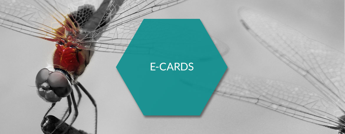 E-cards - Ecard - PIM.RED