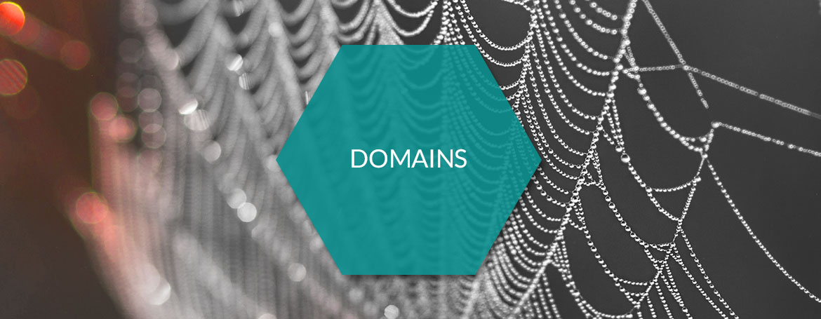 Domains - PIM.RED