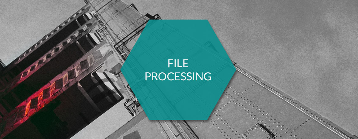 File Processing - PIM.RED
