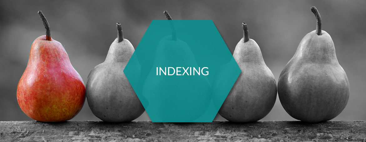 Indexing - SEO - PIM.RED