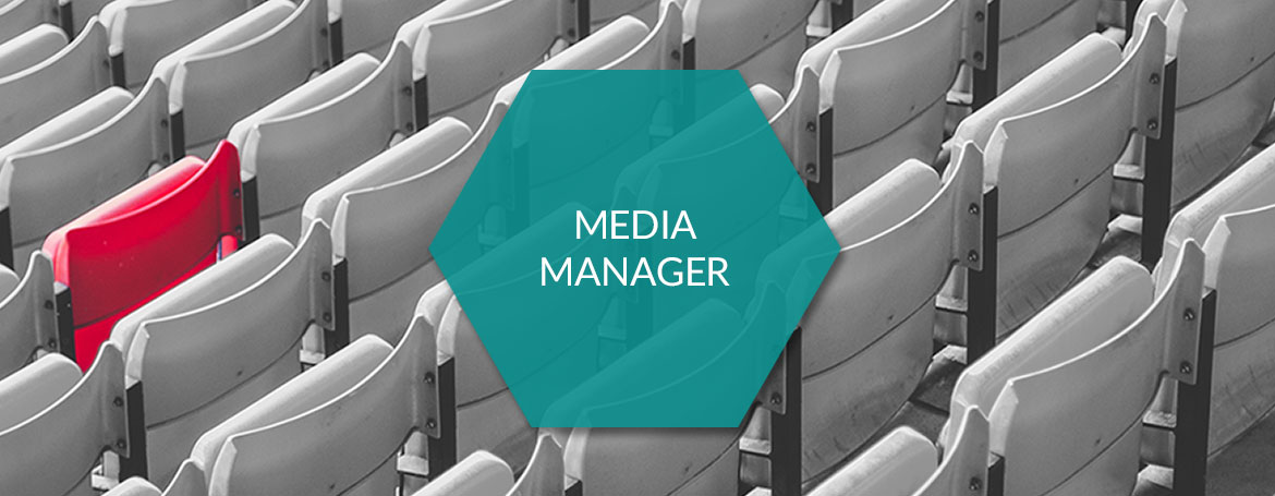Media Manager - Audio - Video - Pictures - PIM.RED